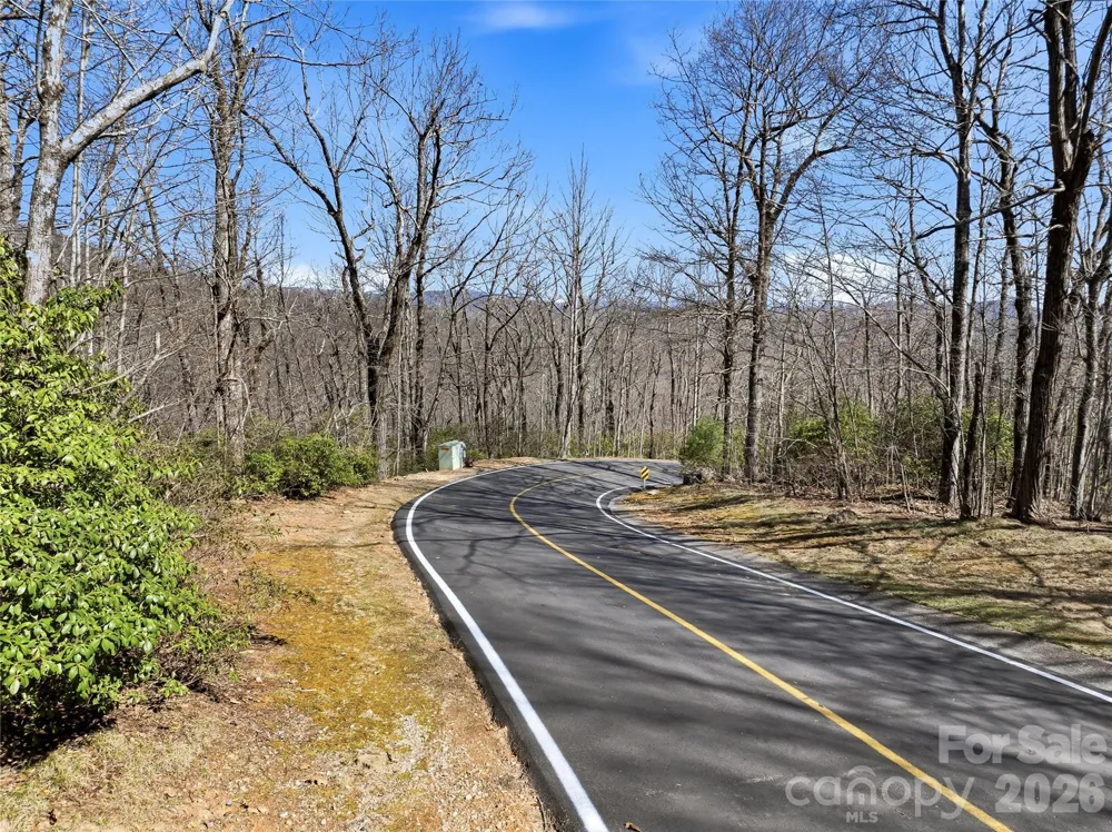 0000 Panther Mountain Road #18 Zirconia, NC 28790