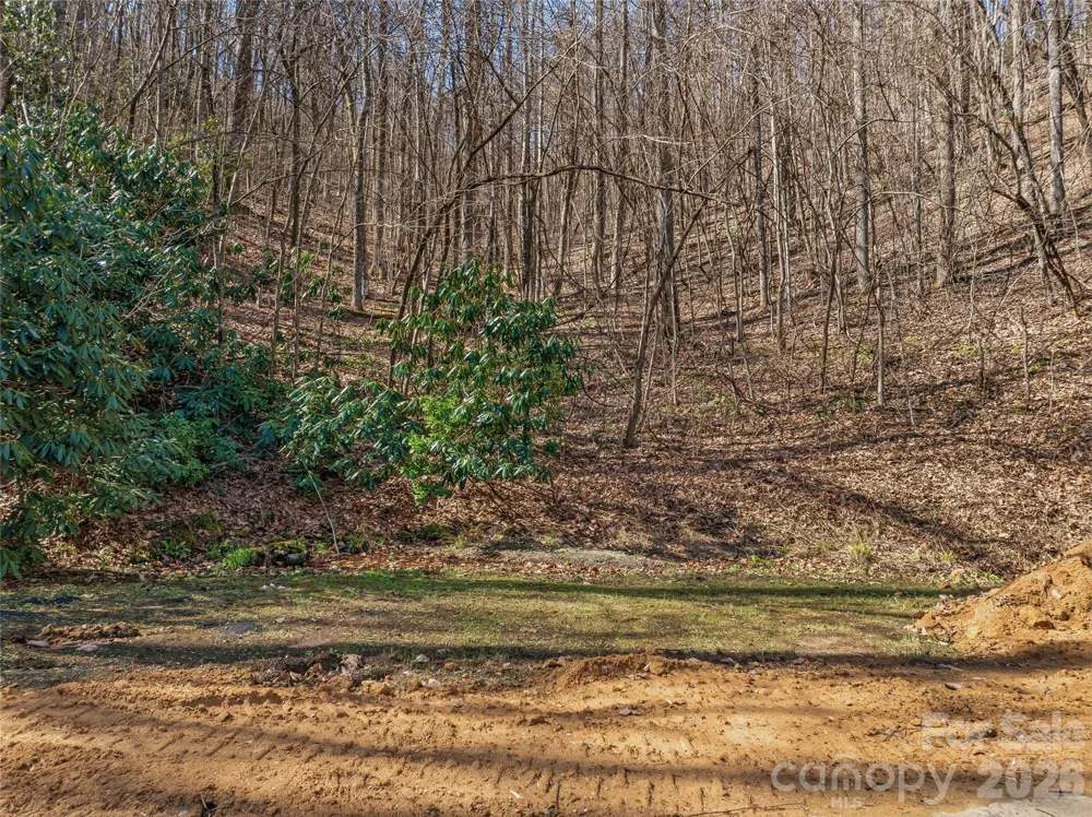 0000 Panther Mountain Road #18 Zirconia, NC 28790
