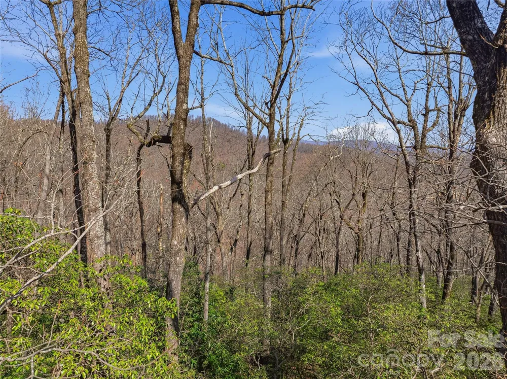 0000 Panther Mountain Road #18 Zirconia, NC 28790