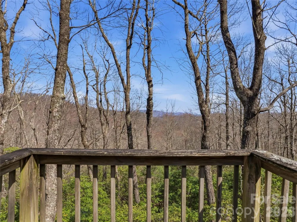 0000 Panther Mountain Road #18 Zirconia, NC 28790
