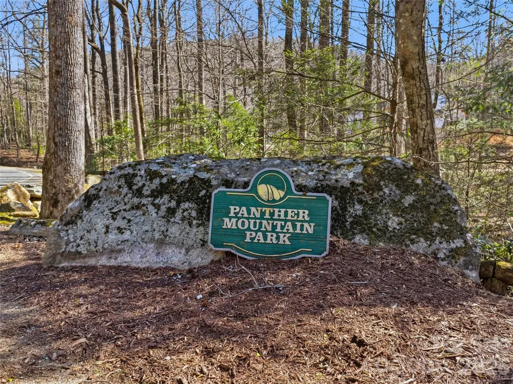 0000 Panther Mountain Road #18 Zirconia, NC 28790
