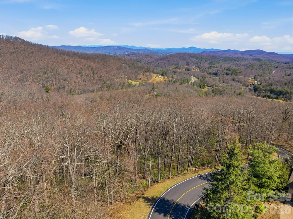 0000 Panther Mountain Road #18 Zirconia, NC 28790