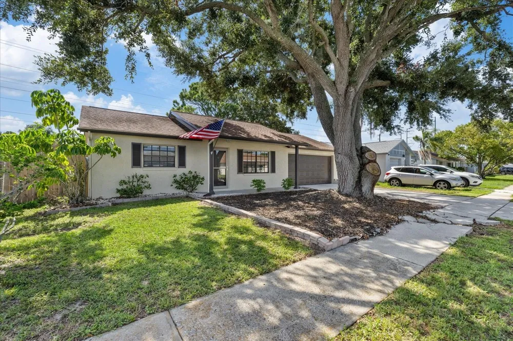 1310 MANDARIN DRIVE Holiday, FL 34691