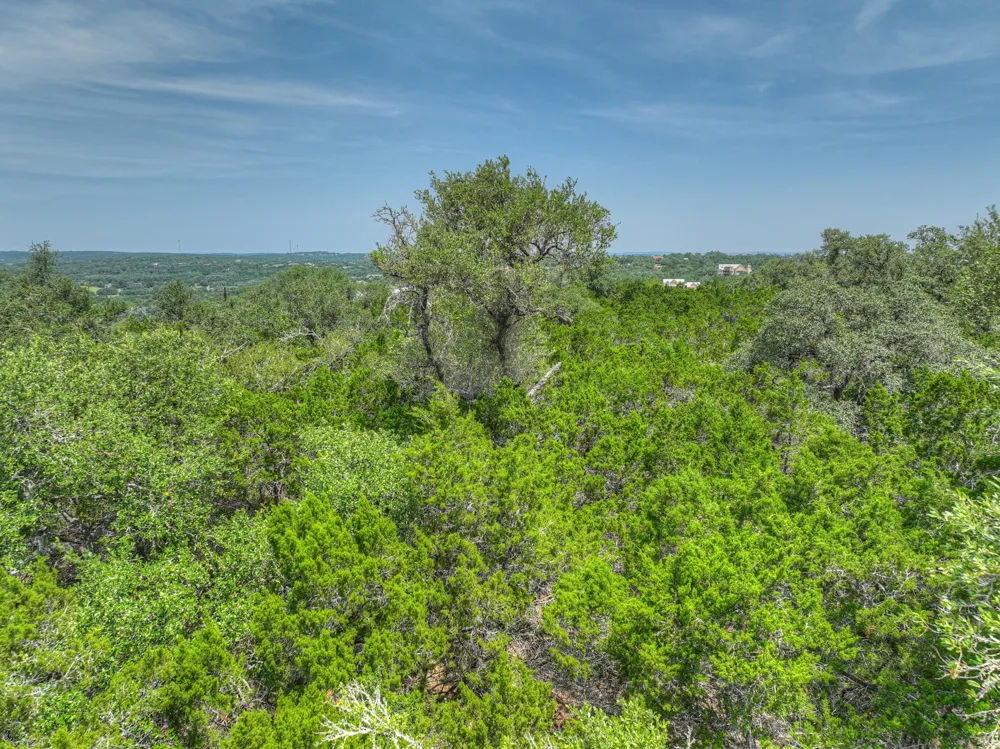 235 Flanders Fischer, TX 78623