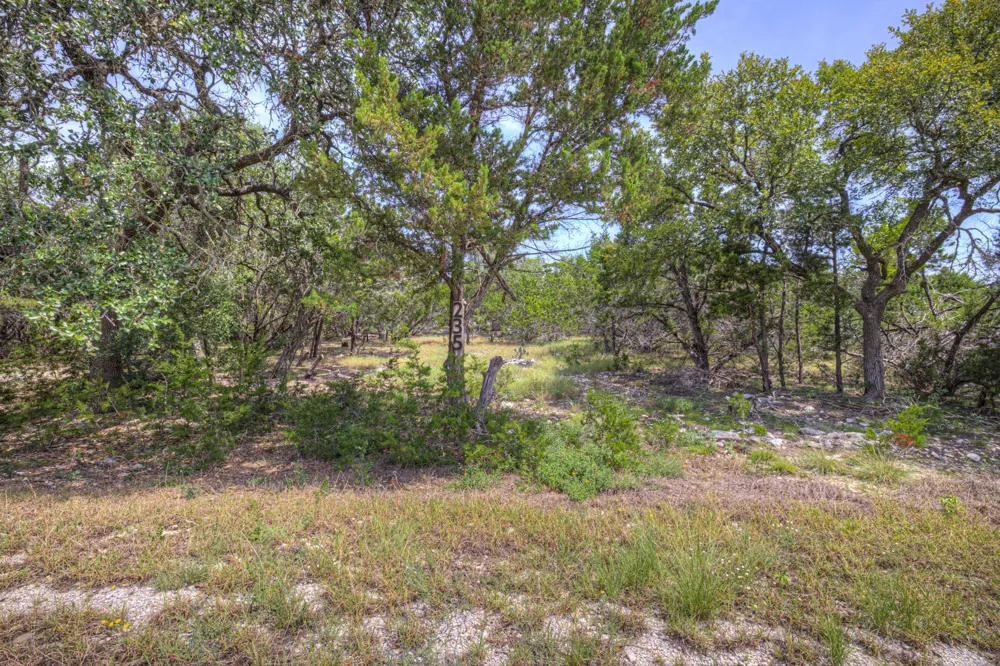 235 Flanders Fischer, TX 78623
