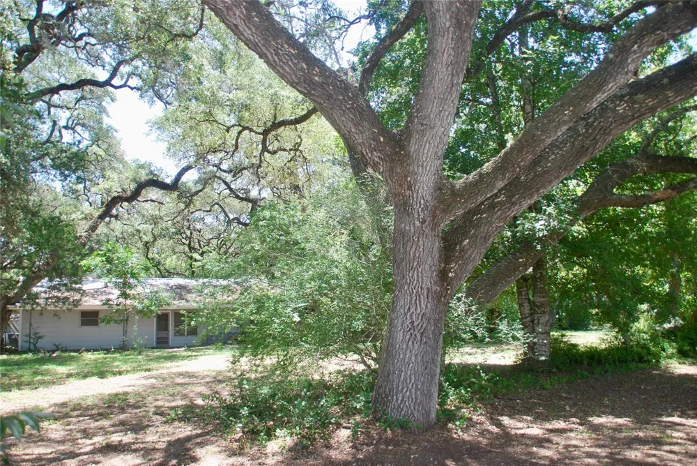 29 County Road 77b Hallettsville, TX 77964