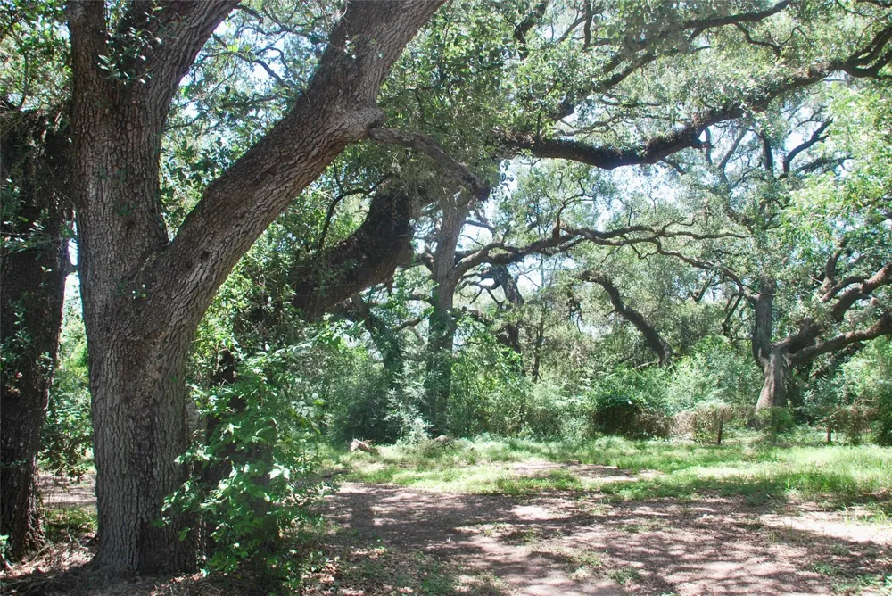 29 County Road 77b Hallettsville, TX 77964