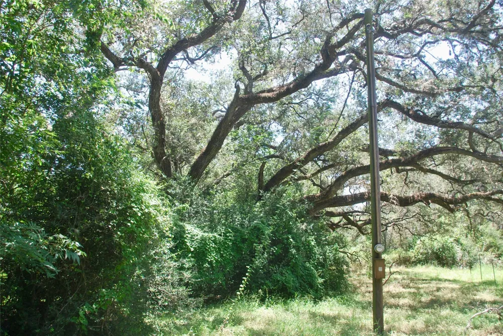 29 County Road 77b Hallettsville, TX 77964
