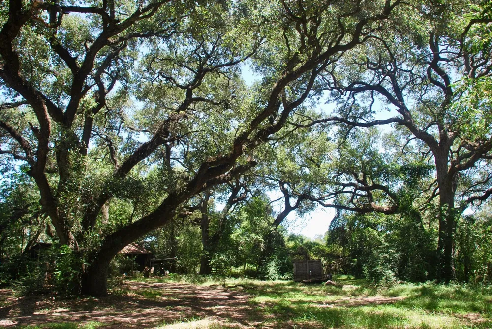 29 County Road 77b Hallettsville, TX 77964