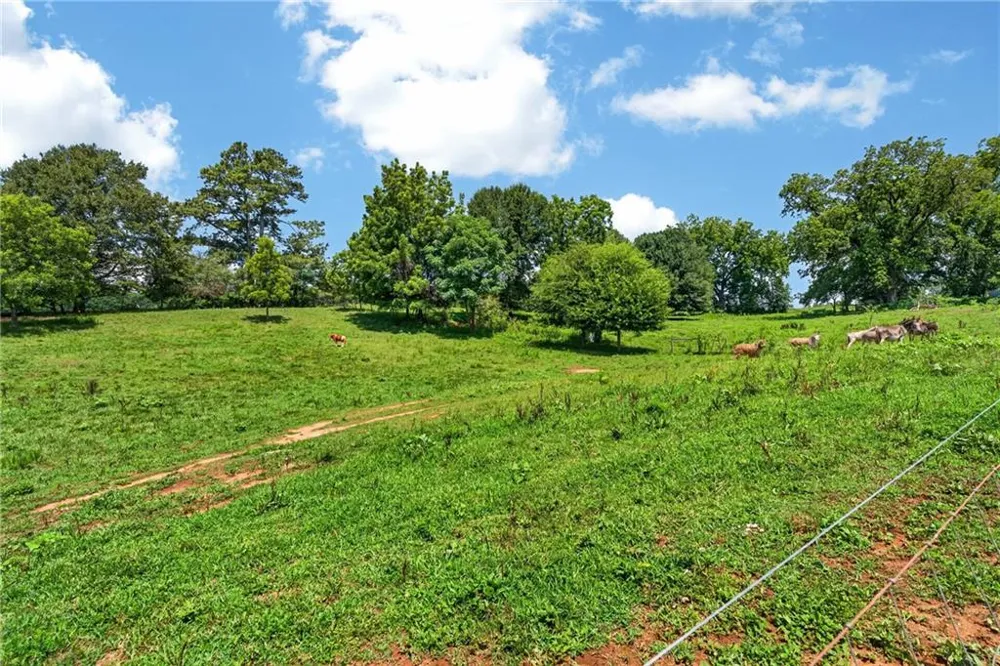 14155 HWY 106 Carnesville, GA 30521
