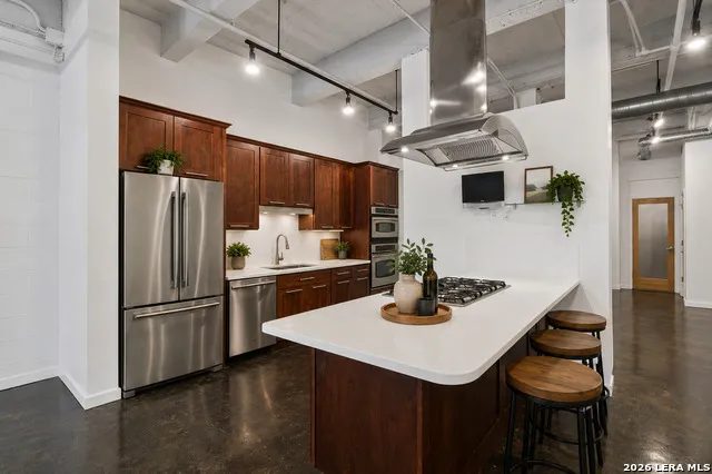 1339 S Flores #203 San Antonio, TX 78204