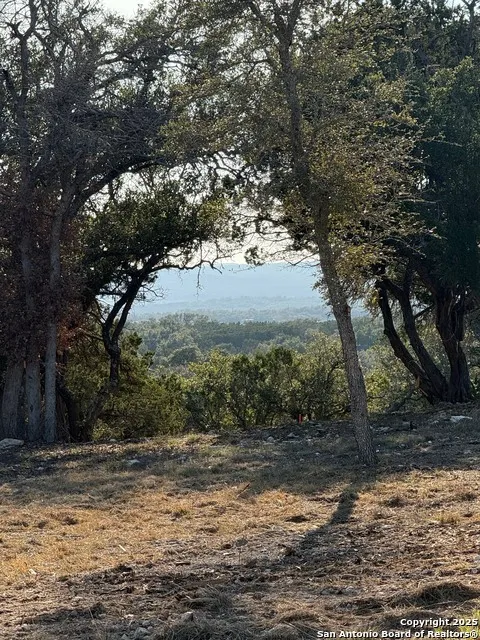 659 Butler Oaks Bulverde, TX 78163
