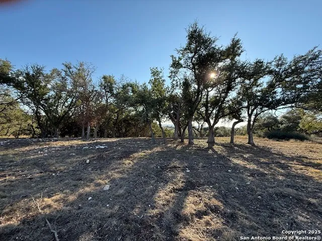 659 Butler Oaks Bulverde, TX 78163