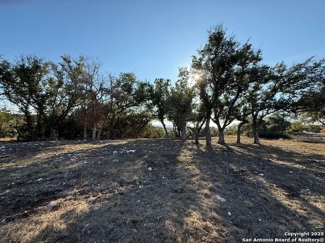 659 Butler Oaks Bulverde, TX 78163