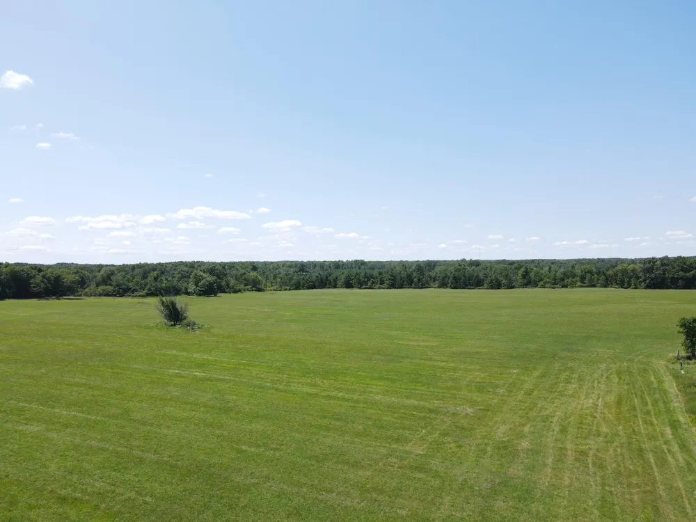 15943 20th Avenue Marion, MI 49665