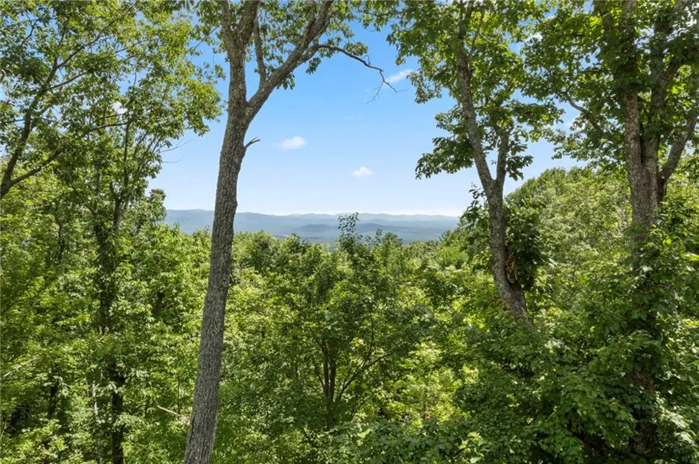 62 Bear Cub Ridge Big Canoe, GA 30143