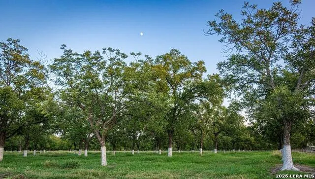 1873 FM 1908 Quemado, TX 78877