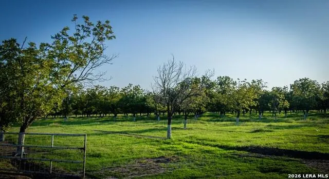 1873 FM 1908 Quemado, TX 78877