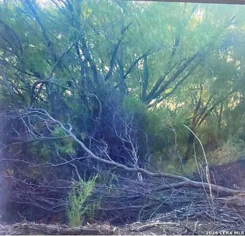 490 D Chavarria Rd Eagle Pass, TX 78852