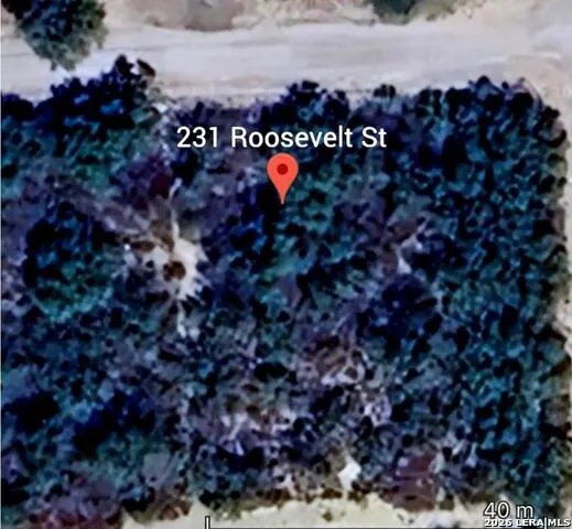 231 Roosevelt St. El Indio, TX 78860