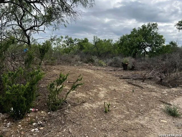 231 Roosevelt St. El Indio, TX 78860