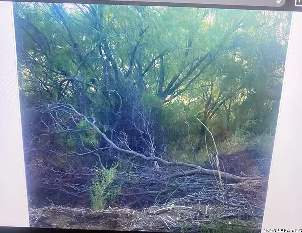 498 D Chavarra Rd Eagle Pass, TX 78852