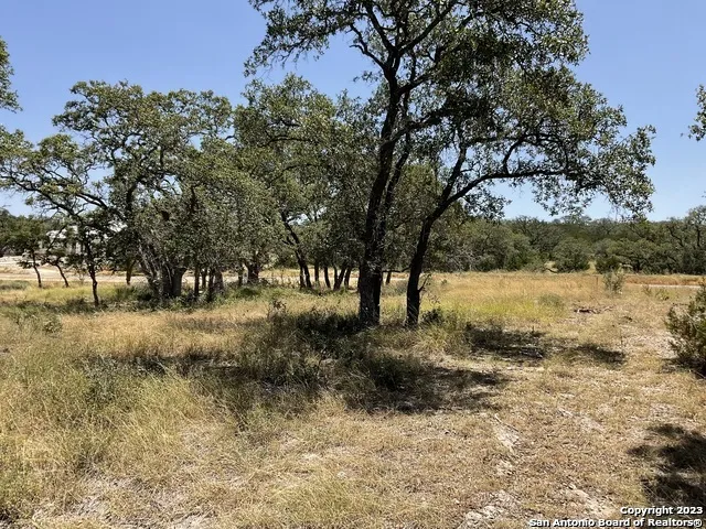 722 BLAZE RIDGE BLVD Bulverde, TX 78163
