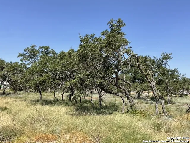 722 BLAZE RIDGE BLVD Bulverde, TX 78163