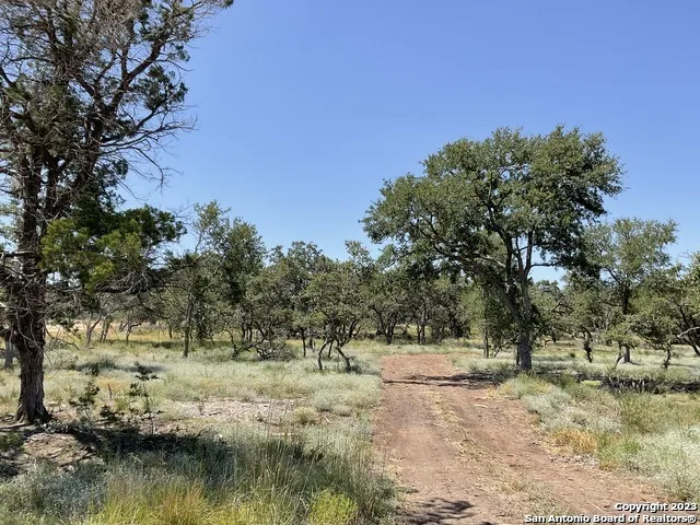722 BLAZE RIDGE BLVD Bulverde, TX 78163