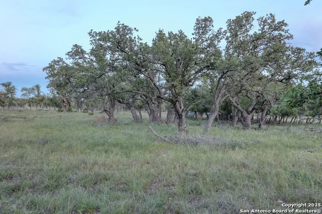 0 Stevens Ranch Rd Harper, TX 78631