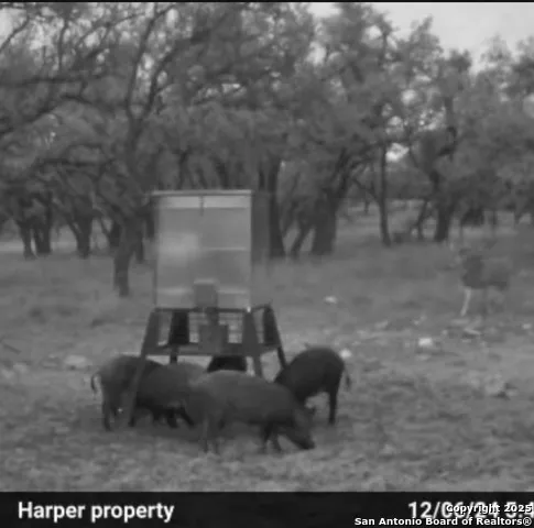 0 Stevens Ranch Rd Harper, TX 78631
