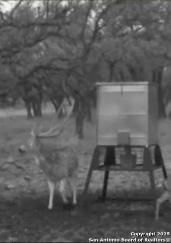 0 Stevens Ranch Rd Harper, TX 78631