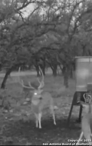 0 Stevens Ranch Rd Harper, TX 78631