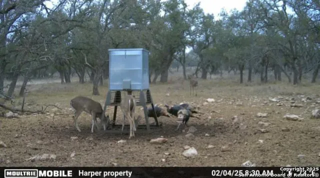 0 Stevens Ranch Rd Harper, TX 78631