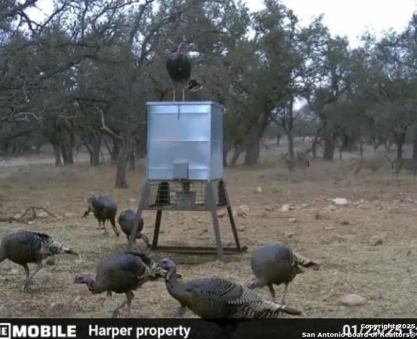 0 Stevens Ranch Rd Harper, TX 78631