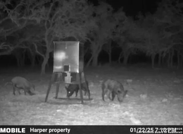 0 Stevens Ranch Rd Harper, TX 78631