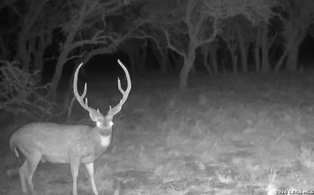 0 Stevens Ranch Rd Harper, TX 78631