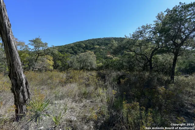 286 private road 1733 Mico, TX 78056