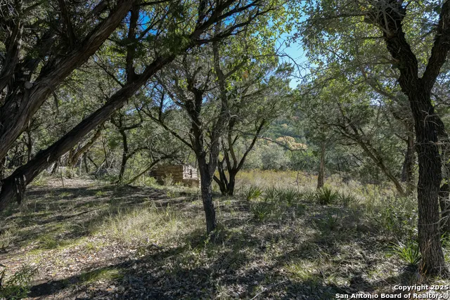 286 private road 1733 Mico, TX 78056