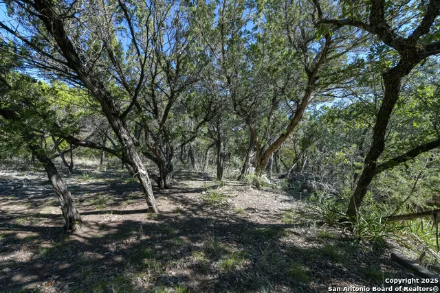 286 private road 1733 Mico, TX 78056