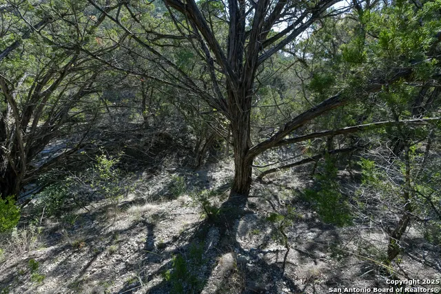 286 private road 1733 Mico, TX 78056