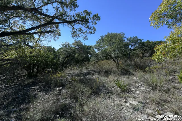 286 private road 1733 Mico, TX 78056