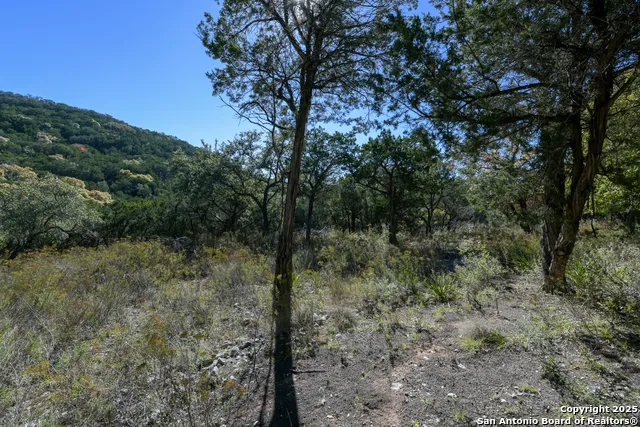 286 private road 1733 Mico, TX 78056