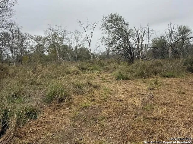 TBD Gidley Atascosa, TX 78002