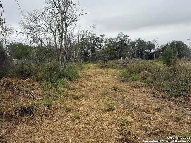 TBD Gidley Atascosa, TX 78002