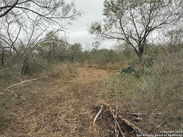 TBD Gidley Atascosa, TX 78002