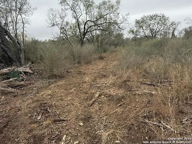 TBD Gidley Atascosa, TX 78002