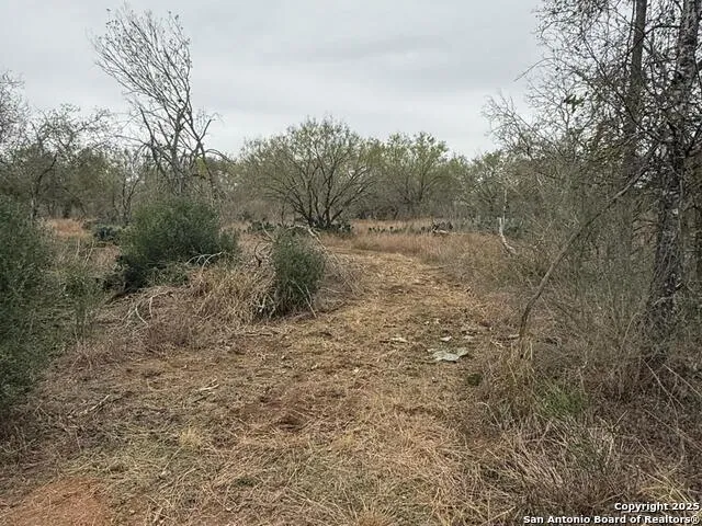 TBD Gidley Atascosa, TX 78002