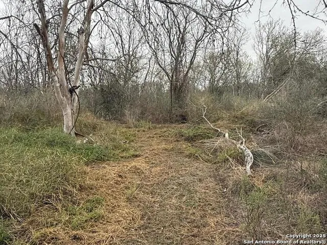 TBD Gidley Atascosa, TX 78002