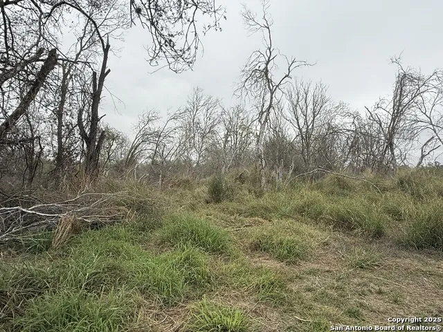 TBD Gidley Atascosa, TX 78002